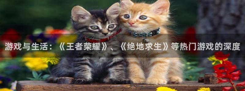天美娱乐是什么：游戏与生活：《王者荣耀》、《绝地求生》等热门