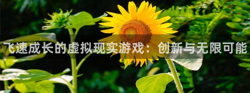 天美娱乐平台官网客服电话：飞速成长的虚拟现实游戏：创新与无限