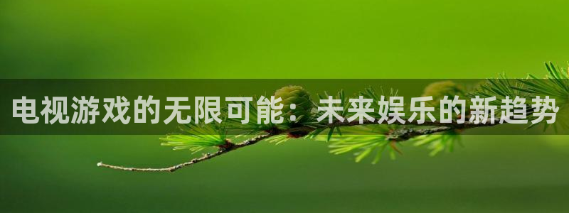 天美娱乐代理登陆：电视游戏的无限可能：未来娱乐的新趋势